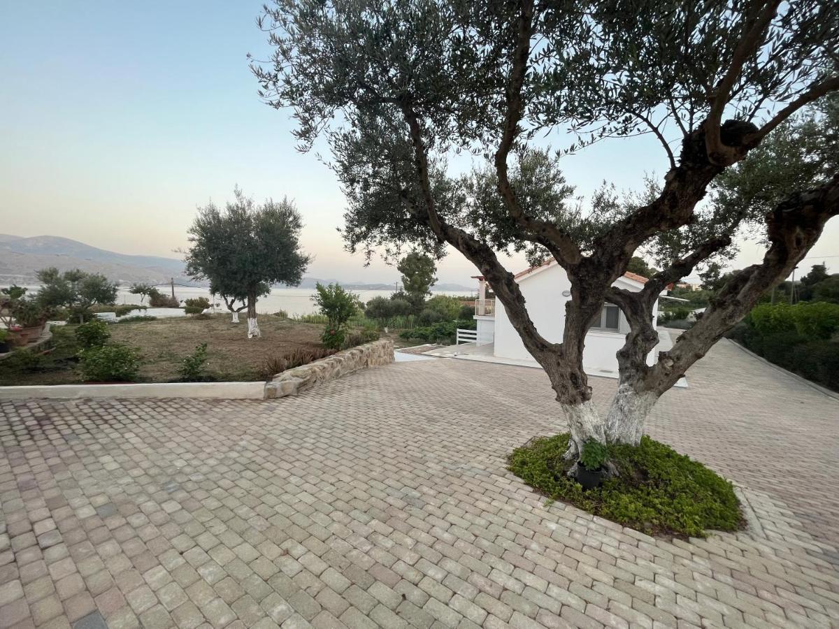 Apollonides Seafront Villa1 Aoede Lixouri Exterior foto