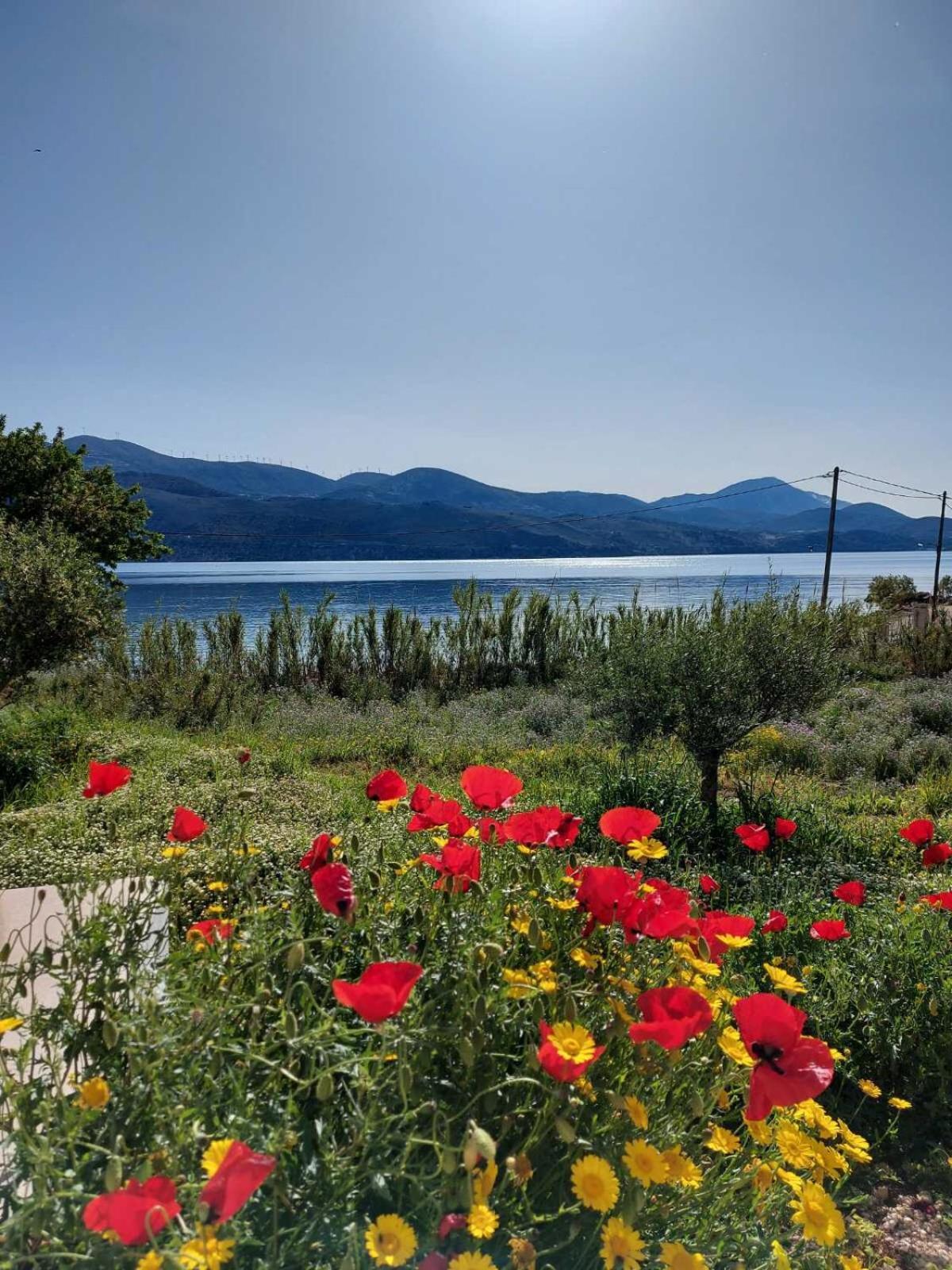 Apollonides Seafront Villa1 Aoede Lixouri Exterior foto